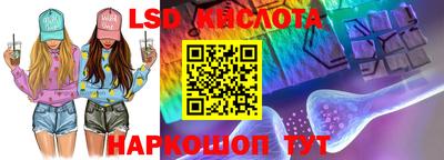 ГАЛЛЮЦИНОГЕННЫЕ ГРИБЫ Кингисепп