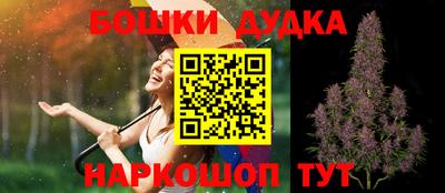 ГАЛЛЮЦИНОГЕННЫЕ ГРИБЫ Кингисепп