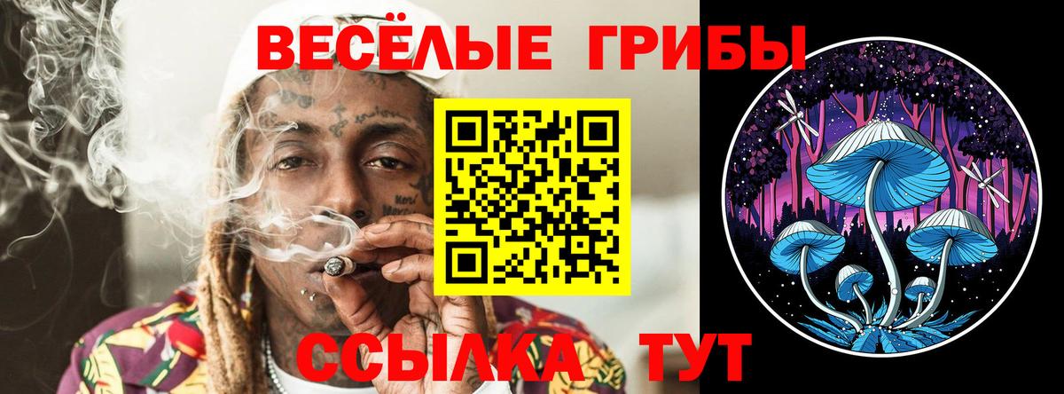 Галлюциногенные грибы ЛСД  Вход с VPN  Щёкино 